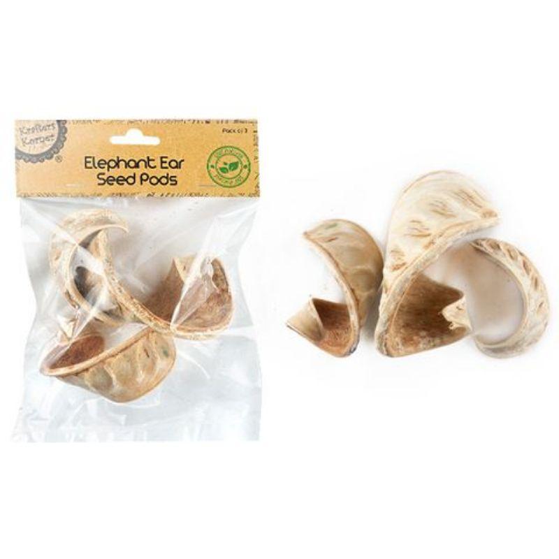 3 Pack Elephant Ear Seed Pods