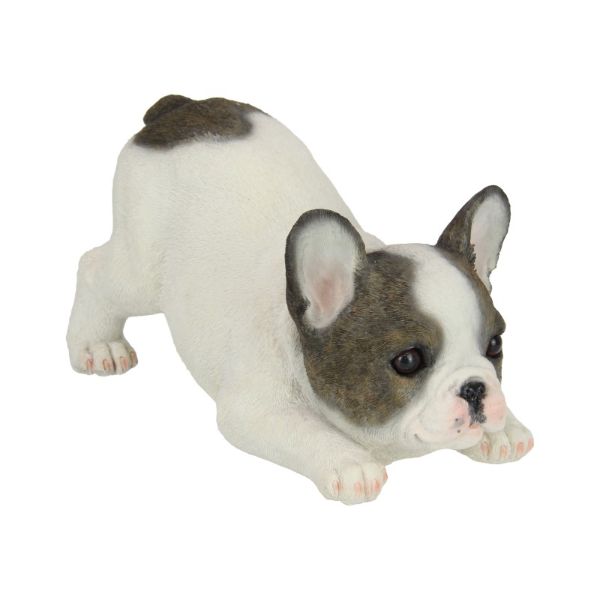 Playful French Bulldog Puppy - 30cm