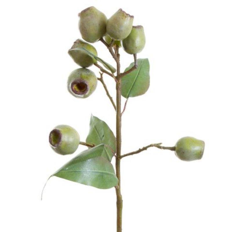 Eucalyptus Gumnut Spray 67cm Green