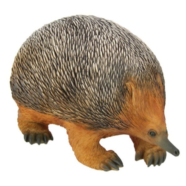 Cute Echidna Figurine - 26cm