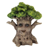 Load image into Gallery viewer, Baby Smiling Tree - 21cm
