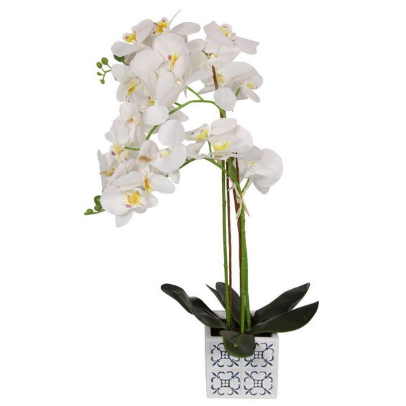 Orchid Flower in Blue Willow Pot - 65cm