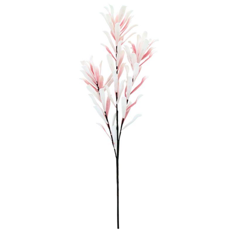 Pale Pink Coastal Banksia - 90cm