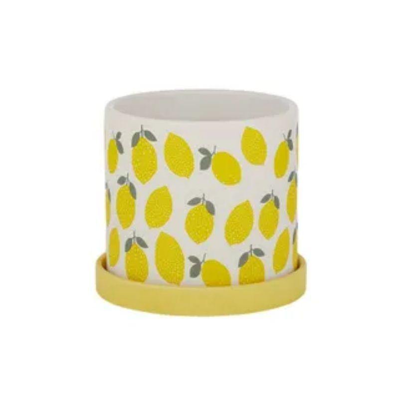 Limone Ceramic Pot with Saucer - 15cm x 14cm - The Base Warehouse