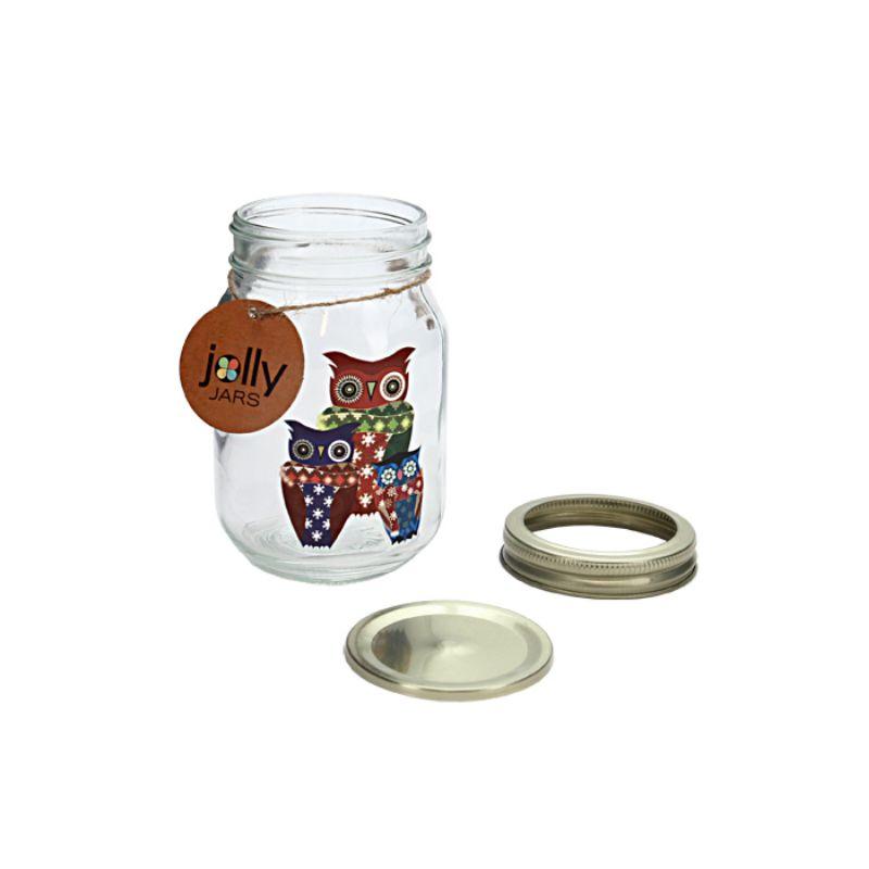 Owl Glass Jar with Double Lid - 480ml