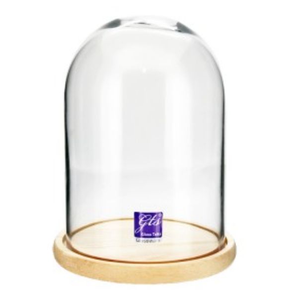 Glass Dome On Wood Base - 23.9cm