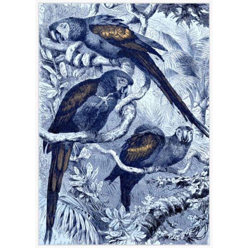Blue Parrots Wallart - 100cm x 140cm