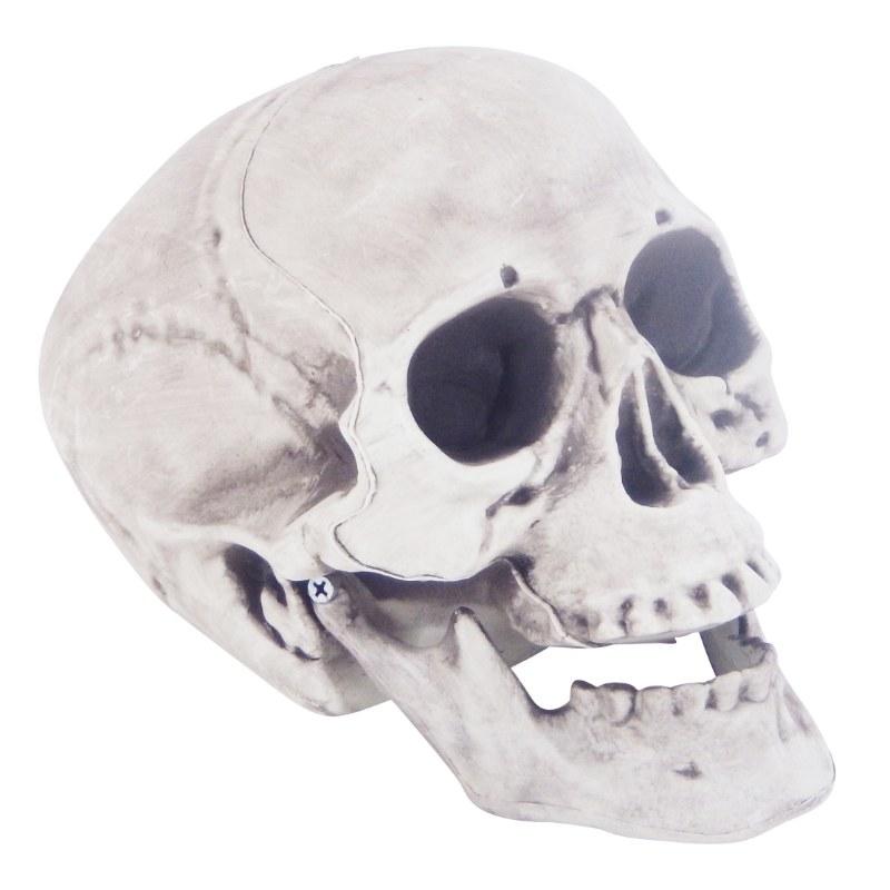 Skull - 24cm