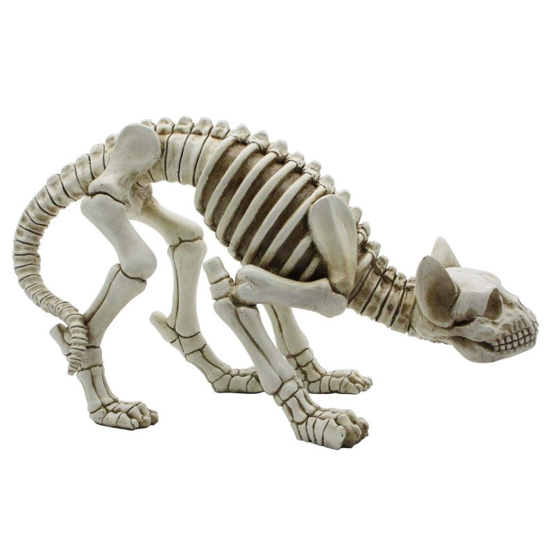 Skeleton Cat - 20cm x 14cm x 35cm