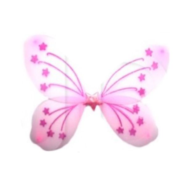 Pink Butterly Wing