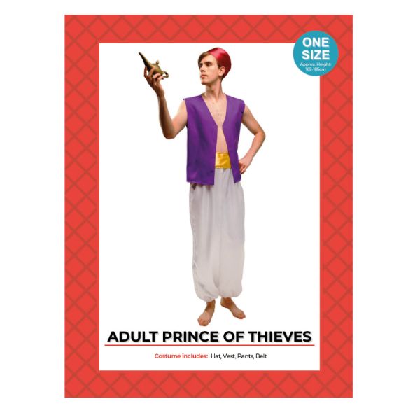 Prince Of Thieves Adult Costume