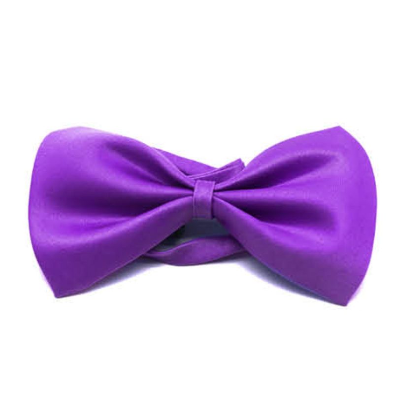 Plain Purple Bow Tie - S