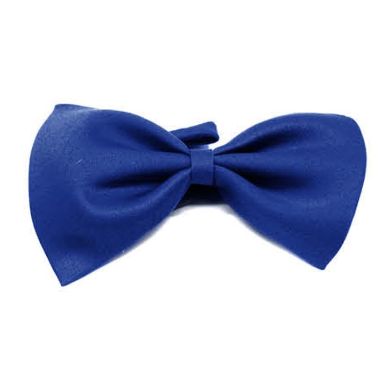 Plain Blue Small Bow Tie