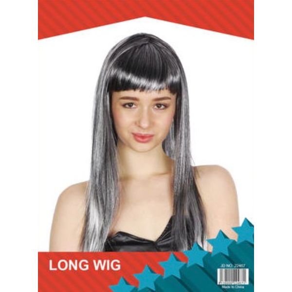 Grey Long Wig