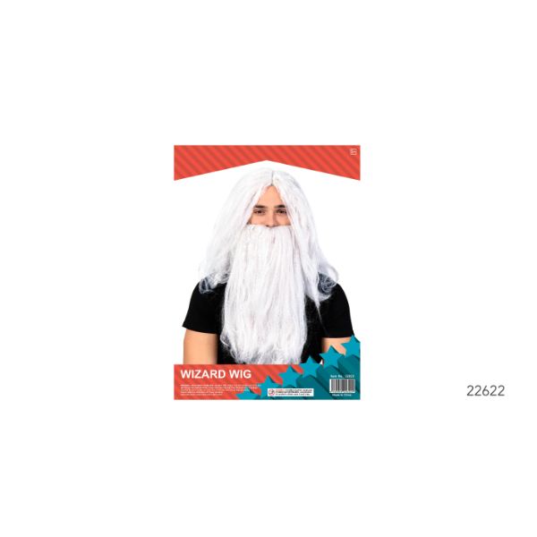 Grey Frizzy Delux Wizard Wig And Beard