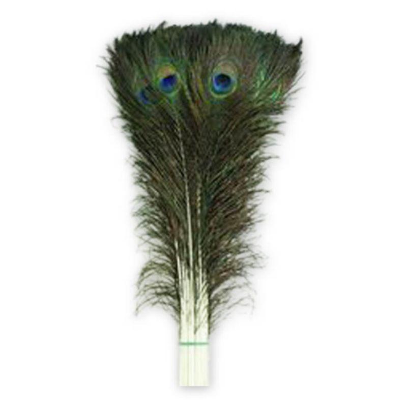 Peacock Feather - 90cm