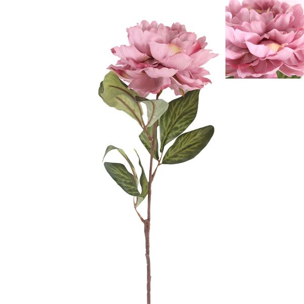 Garden Peony - 60cm