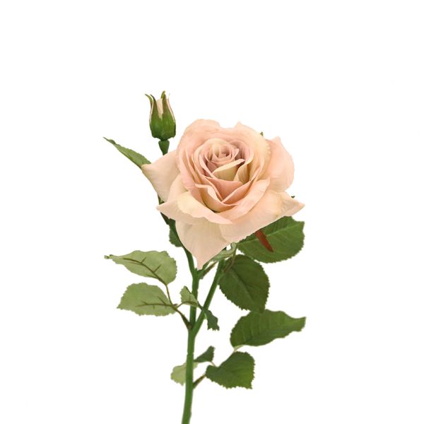 Dusty Pink Rose - 52cm