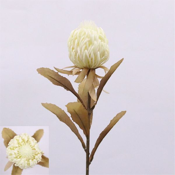 White Protea Stem - 73cm