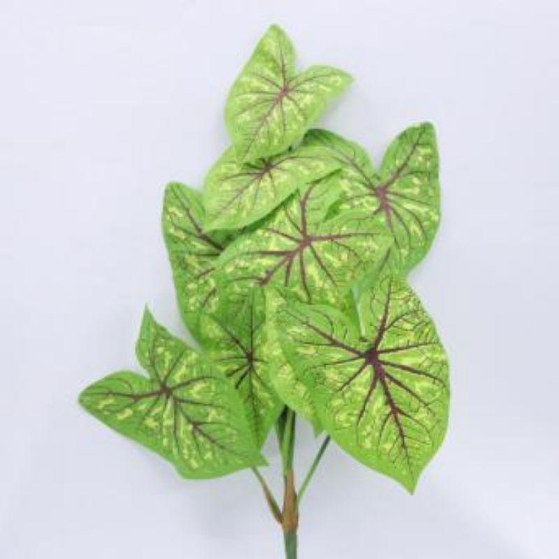 Caladium Leaf - 76cm