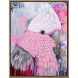 Load image into Gallery viewer, Abstract Galah Amanda Skye The Artist Lab Framed Artwork - 70cm x 90cm
