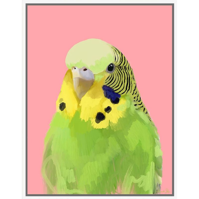 Aussie Budgie Amanda Skye The Artist Lab Framed Artwork - 70cm x 90cm