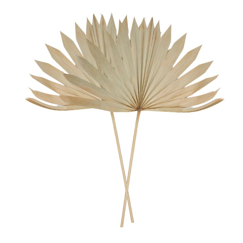2 Piece Natural Sun Spear Palm Dried - 45cm x 55cm