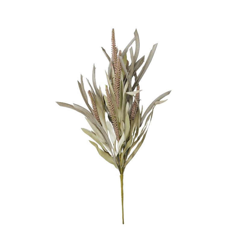 Natural Tall Grass Stem - 58cm