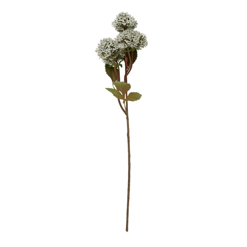 Cream Sedum Stem - 60cm