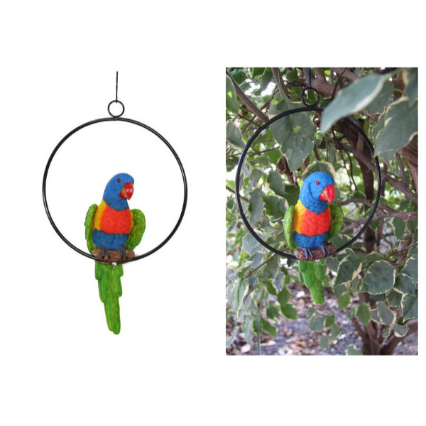 Realistic Knock Down Parrot in Ring - 20cm