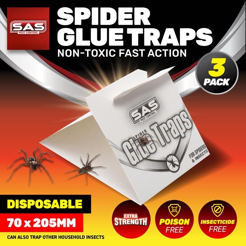 3 Pack Spider Glue Trap - 7cm x 20cm