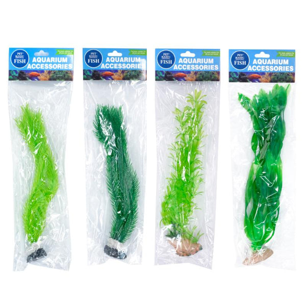 Fish Aquarium Coral Green Leaf