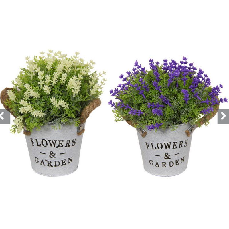 Potted Flowers with Rope Handle - 19cm