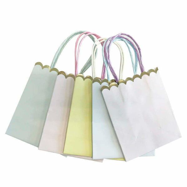 5 Pack Pastel Paper Bags