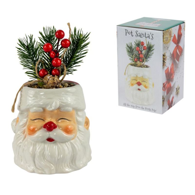 Santa Pot with Xmas Berry Plant - 11cm