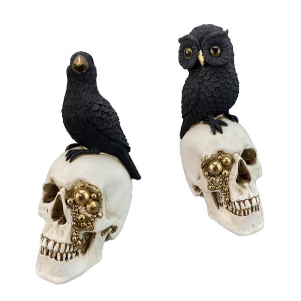 Bird Owl With Skull - 21cm
