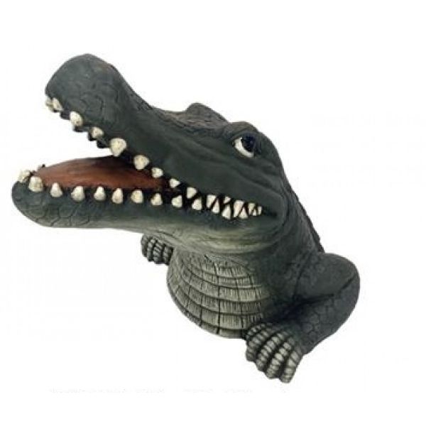 Aligator Head Statue - 43cm