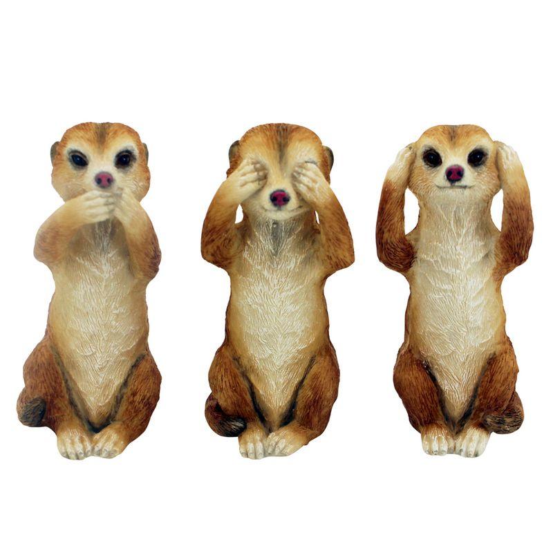 Hear/See/Speak MeerKat