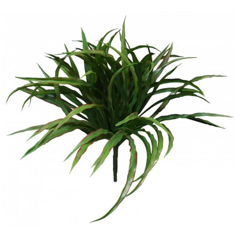 Green Vanilla Grass Bush x 7 - 28cm