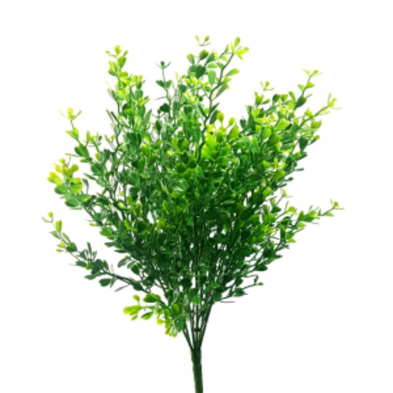 Green Boxwood Bush - 35cm