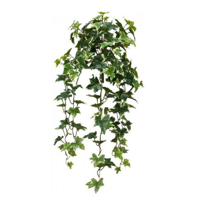 Green Hanging Sage Ivy x 12 - 90cm