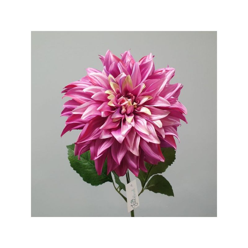 Magenta Pink Dahila Flower - 70cm x 16cm