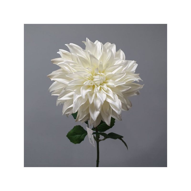 White Dahlia Flower - 70cm x 16cm