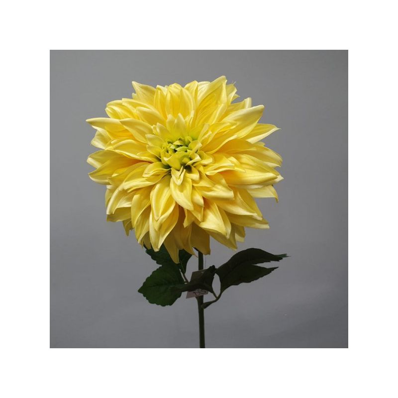 Yellow Dahila Flower - 70cm x 16cm