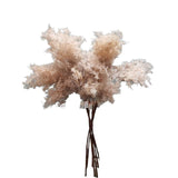 Load image into Gallery viewer, Light Brown Pampas Spray x 3 - 105cm
