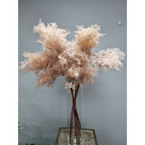 Load image into Gallery viewer, Light Brown Pampas Spray x 3 - 105cm
