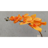 Load image into Gallery viewer, Real Touch Orange Phalaenopsis Orchid 7 Flowers one Bud - 100cm x 19cm
