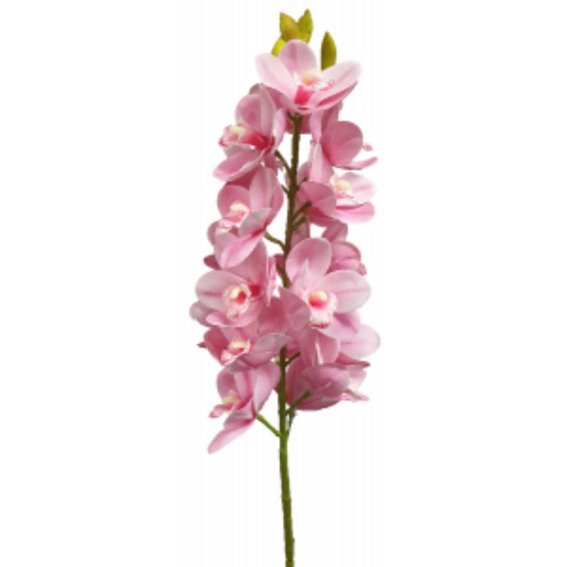 Pink Cymbidium Orchid Spray - 78cm
