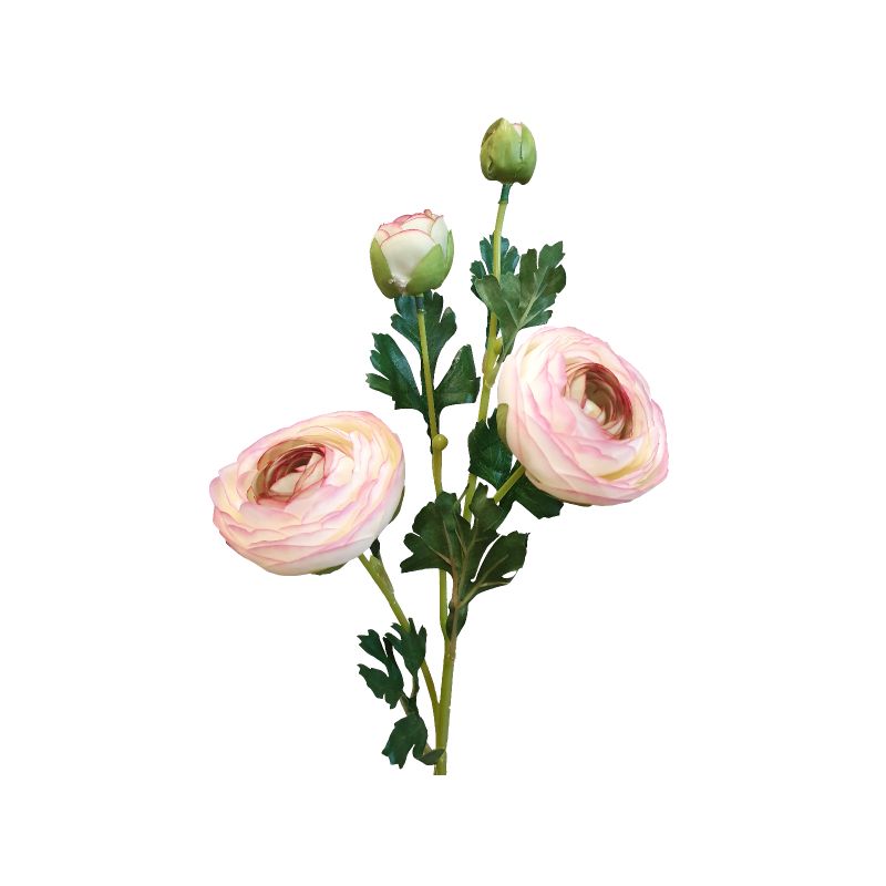 Light Pink Ranunculus Flower Spray - 17cm x 8cm x 60cm
