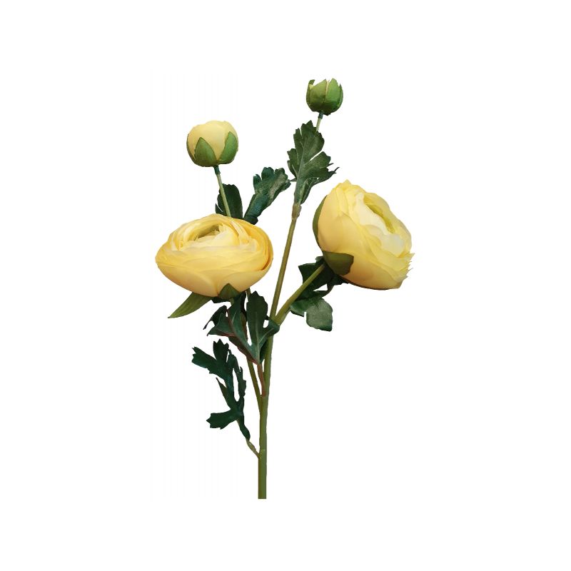 Yellow Ranunculus Flower Spray - 17cm x 8cm x 60cm